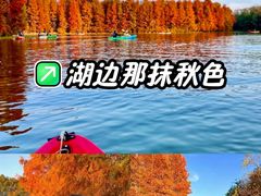 -上海海湾国家森林公园