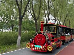 -大兴滨河森林公园