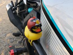 -永定河休闲森林公园