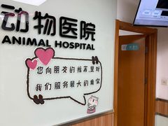 -宠福鑫动物医院(城北分院)