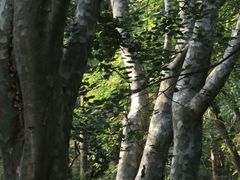 -沈阳植物园