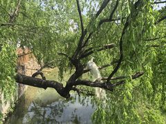 -J Create城市露营咖啡·简餐·宠物(上海动物园店)