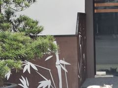 -南山植物园