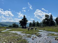 -新疆那拉提国家旅游度假区