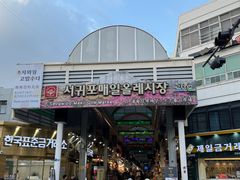 -西归浦每天偶来市场