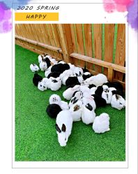 -萌宠亲子动物乐园(槐房万达店)