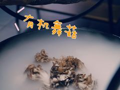 -煲宫猪肚鸡(晶品店)