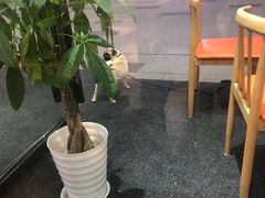 -果呀呀(吾悦广场店)