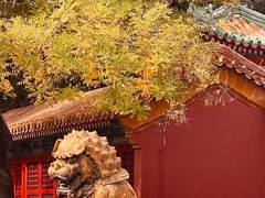-故宫博物院(故宫)