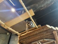 -Zoolung Zoolung动物主题公园(海信广场店)