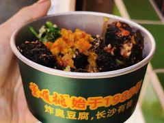 -董顺桃老长沙臭豆腐(步行街店)