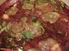 -金鼎雪山牦牛杂火锅(理县总店)