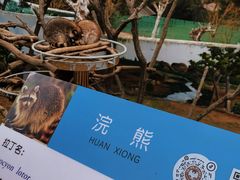 -西霞口神雕山野生动物世界