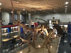 -国家自然博物馆