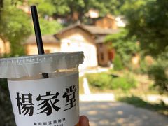 -杨家堂村