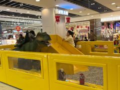 -凯德MALL(望京店)