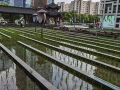 -证大喜玛拉雅中心
