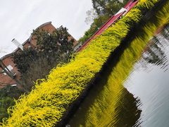 -成都南湖公园