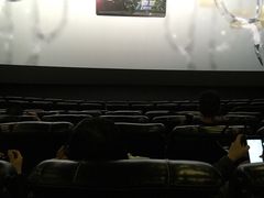 -万达影城(锦华万达广场IMAX店)