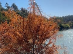 -天目湖山水园