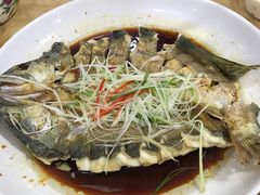 -新疆风味冷水鱼庄(友谊峰路店)