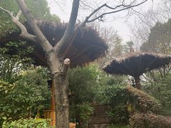 -深业半汤御泉庄温泉