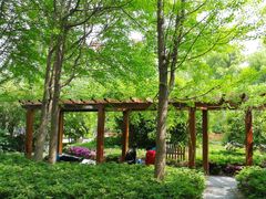 -徐家汇源景区-衡山公园