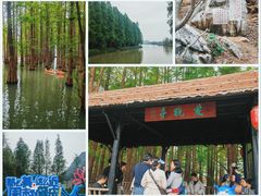 -星湖旅游景区七星岩