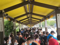 -珞珈山-售票处