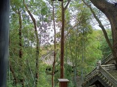 -桃花岛风景旅游区