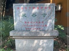 -灵谷景区