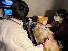-宠爱国际动物医院·消化内科·心肾内科·ISFM猫友好(望京店)