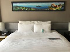 -青岛富力艾美酒店