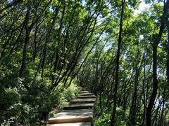 -白草畔自然风景区