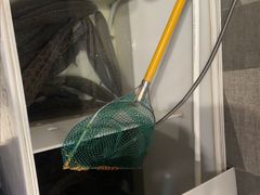 -重庆鸡公煲·青锅花椒鱼(牡丹江路店)