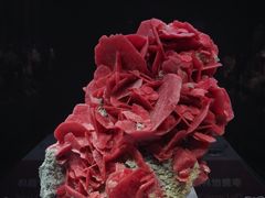 -湖南省地质博物馆
