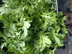 -小牛海记潮汕牛肉店(永定路店)