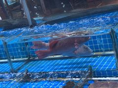 -无锡天鹏食品城