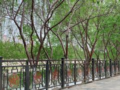 -桃花堤公园