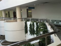 -浙江省立同德医院(翠苑院区)