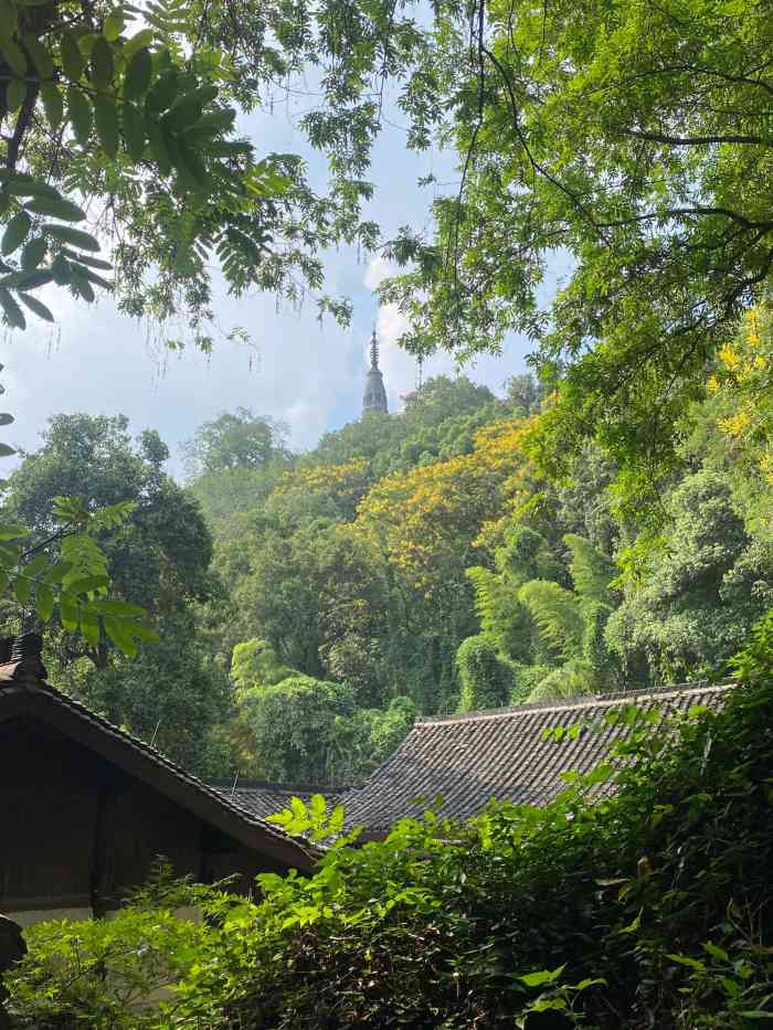 宝石山蛤蟆峰图片