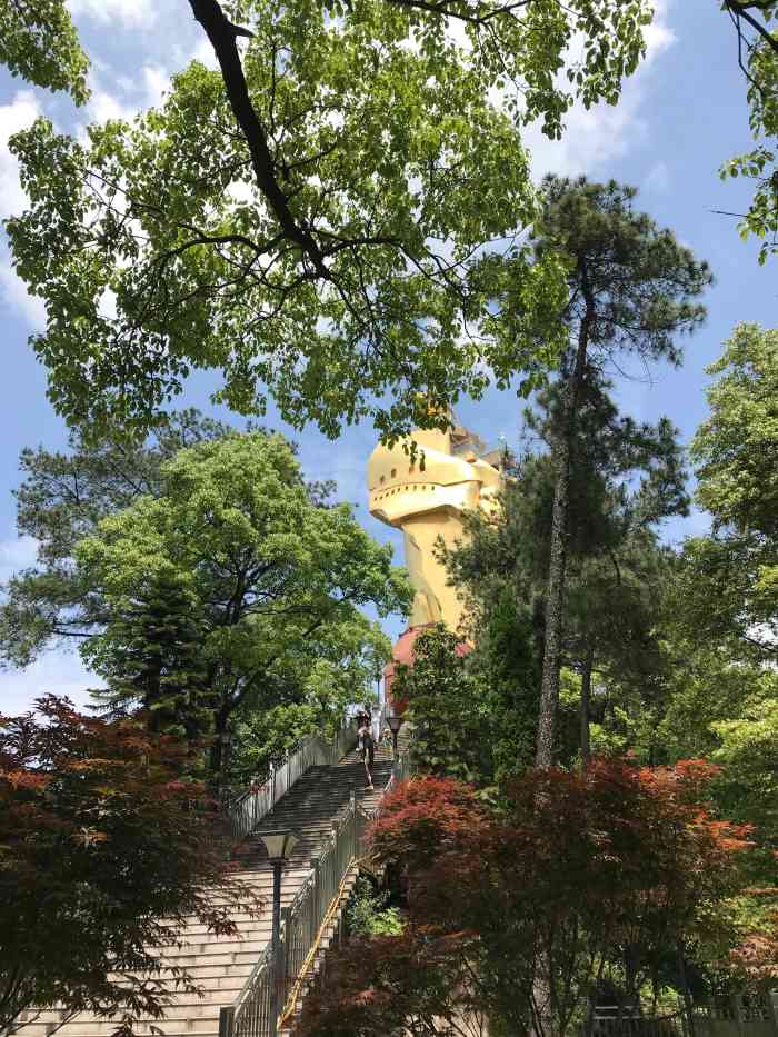 大金鹰园-"中秋晚上想看月亮 刚好要上南山 就决定到.