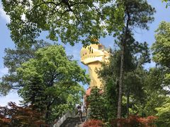 -大金鹰园
