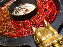 红白鸳鸯-蜀大侠火锅(寰球文化地标·总府店)