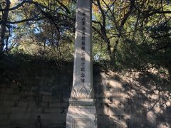 -灵谷景区