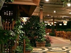 -南宫温泉水世界