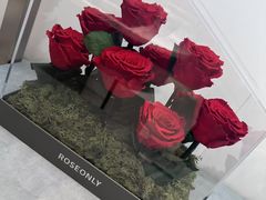 -ROSEONLY诺誓(广州K11店)