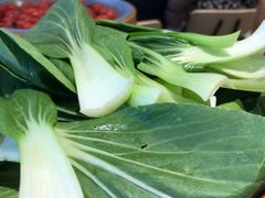 油菜-龍歌自助小火锅(市南金茂湾店)
