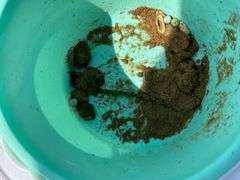-青岛银沙滩温德姆至尊酒店