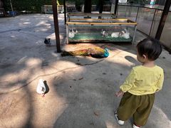 -史努比缤纷世界